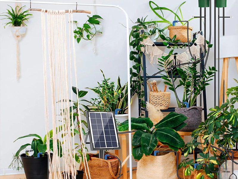 Home gardening