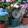 Solar Drip Irrigation System 2200mAh Battery Auto Watering 6 Modes for Potted Plants Kit