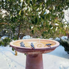 Automatic Thermostatically Controlled Birdbath Deicer Bird Bath De-icer Heater Water Heater for Garden Lawn Patio
