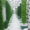 BSV-Hydroponic-S
