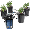 BSV-Hydroponic-RDWC