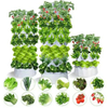 BSV-Hydroponic-S